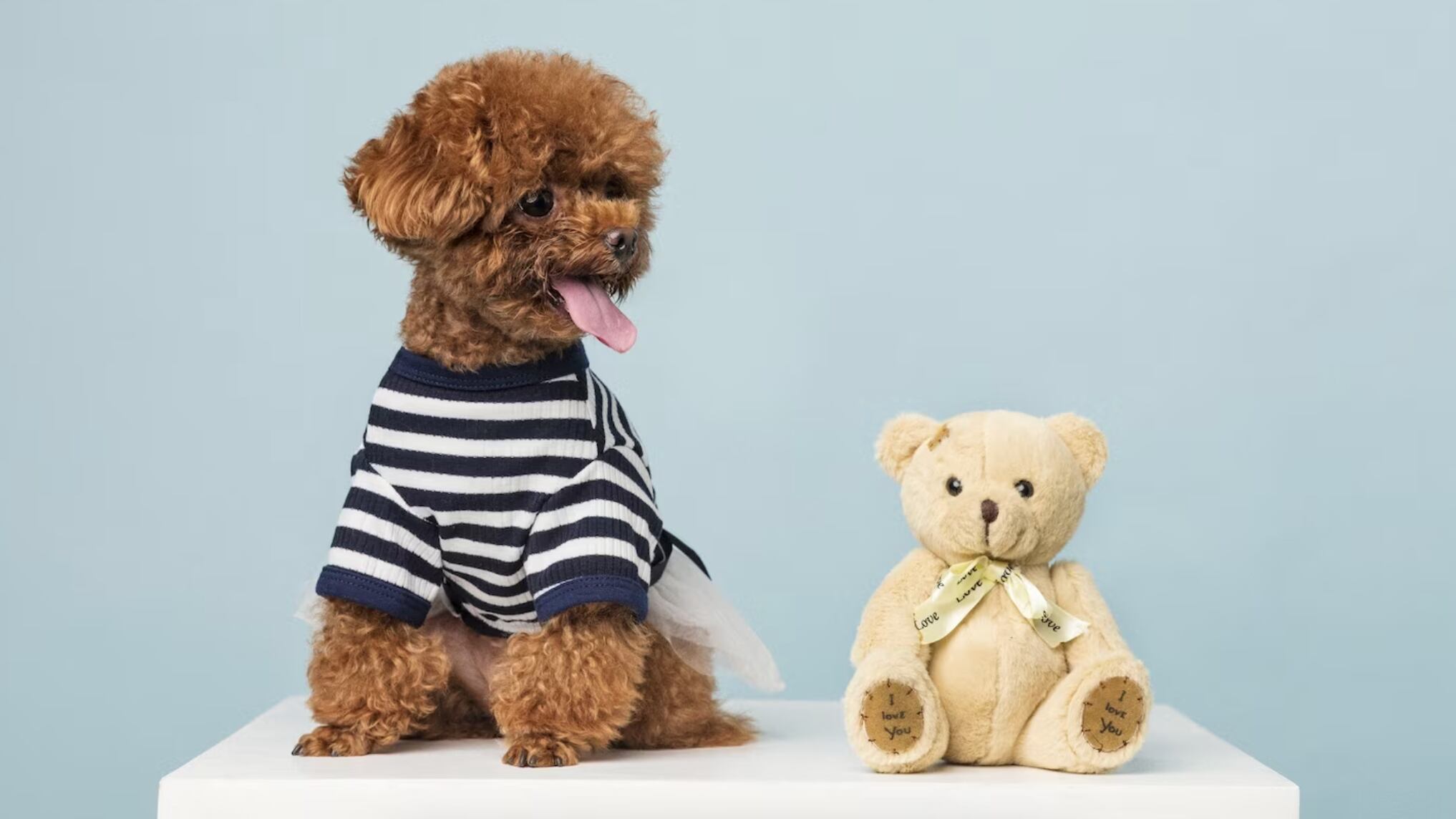 Un perro de peluche nada inofensivo