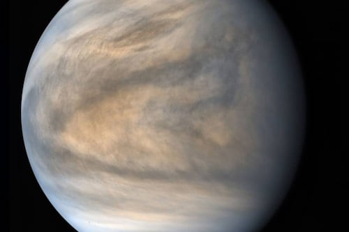 Habrían encontrado indicios de vida en Venus, el descubrimiento se hizo desde Chile