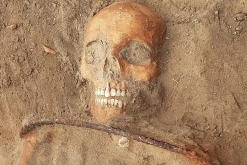 Macabro hallazgo en un pueblo de Polonia: arqueólogos encontraron el cuerpo de un vampiro enterrado hace 300 años