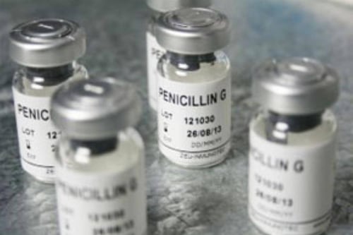 Científicos secuenciaron, por primera vez en casi 100 años, el genoma de la Penicilina original de Fleming