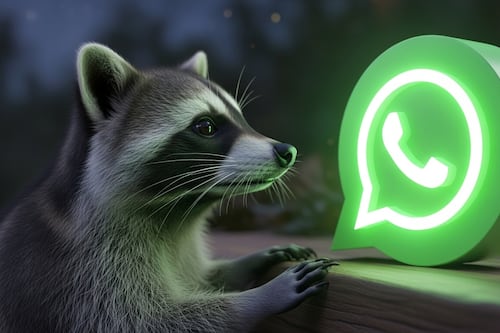 El “Modo Mapache” en WhatsApp: Cómo leer todo sin dejar rastro en este 2026