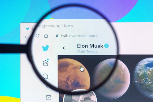 Twitter vs Elon Musk: la compañía culpa al magnate por las caídas en sus ingresos