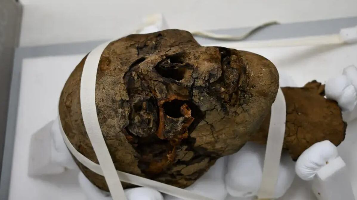 Una imagen de la cabeza de la momia encontrada.