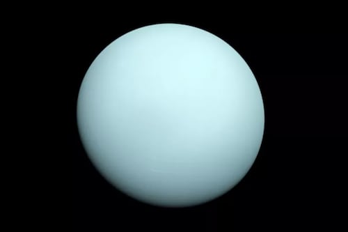 Urano: explorarlo será una de las prioridades de la NASA en 2023