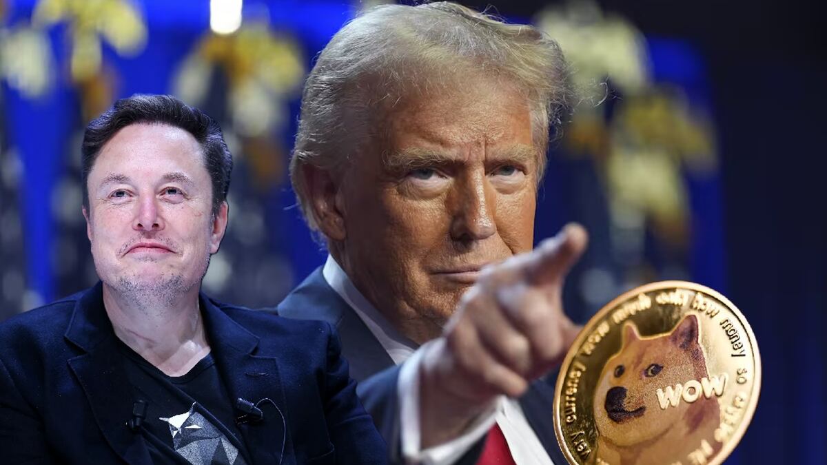 Elon Musk, Donald Trump Dogecoin