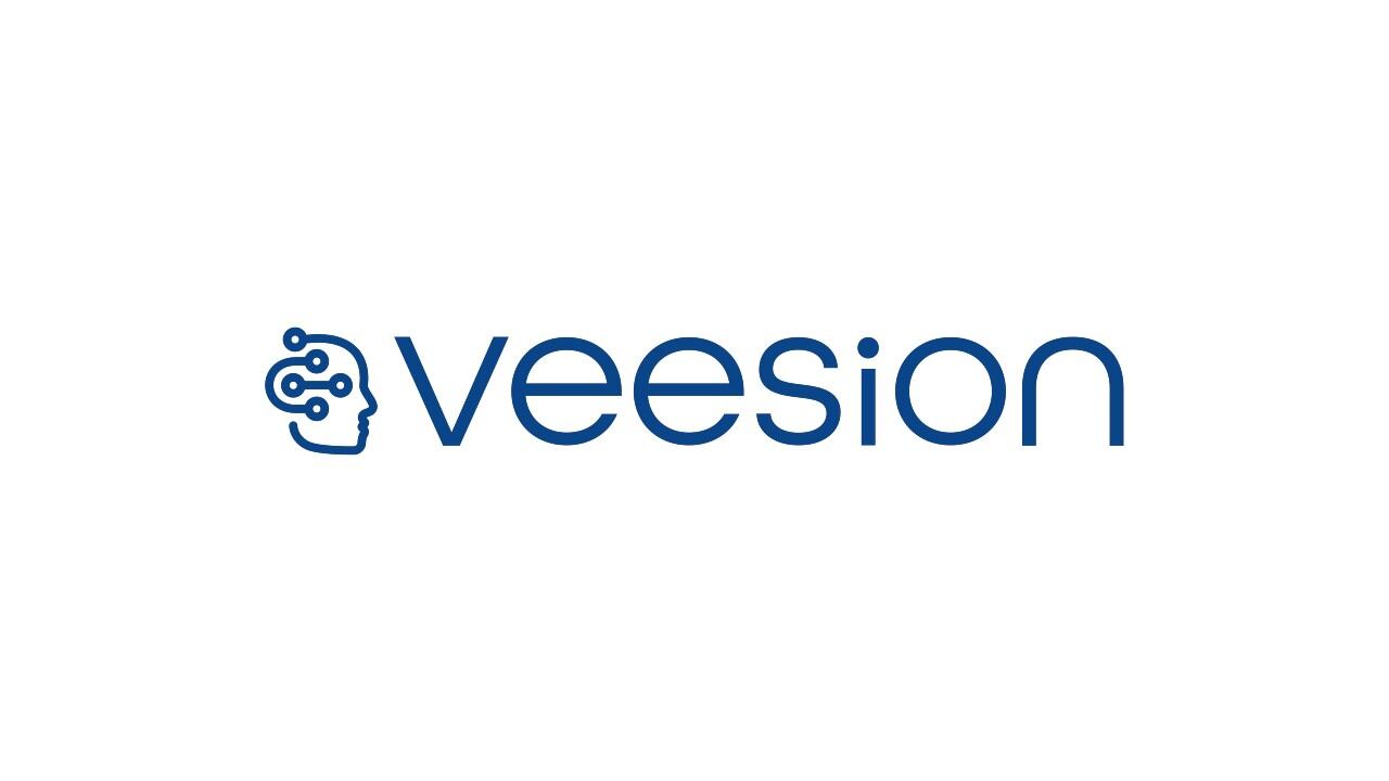 Veesion