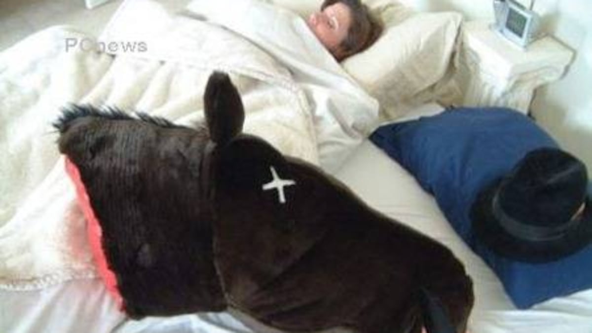 Impresentable: El caballo de El Padrino hecho almohada – FayerWayer