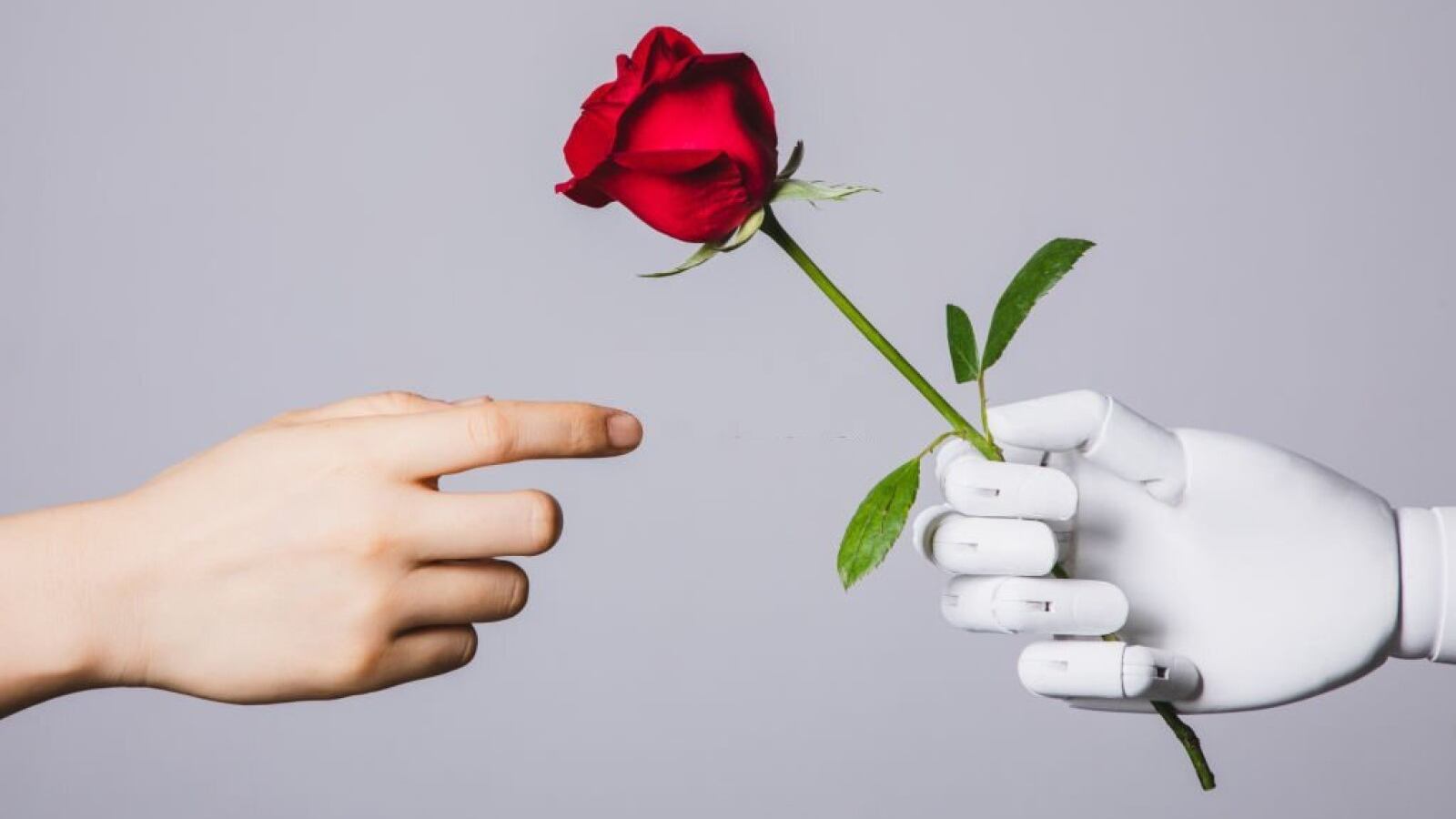 Amor entre robot y humano