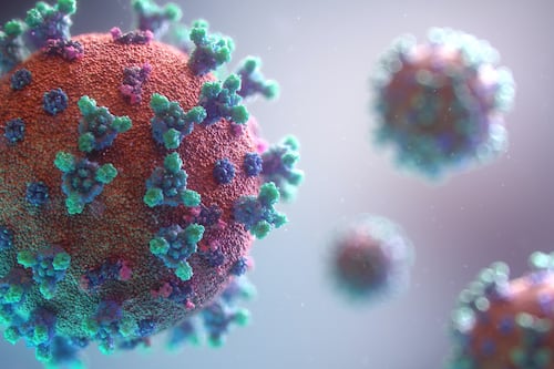 China descubre el Langya, un nuevo virus de origen animal más letal que el coronavirus