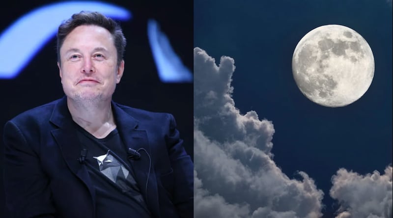 Elon Musk / Luna