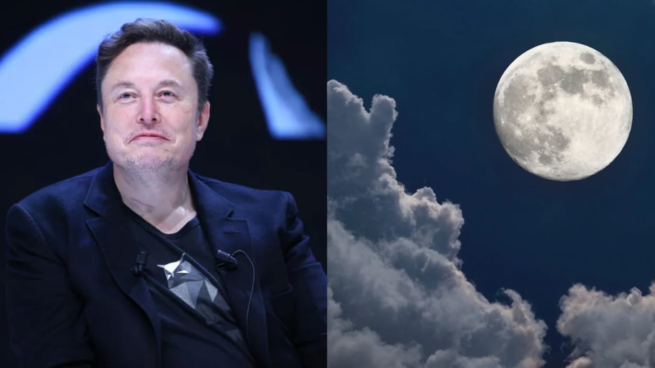 Elon Musk / Luna