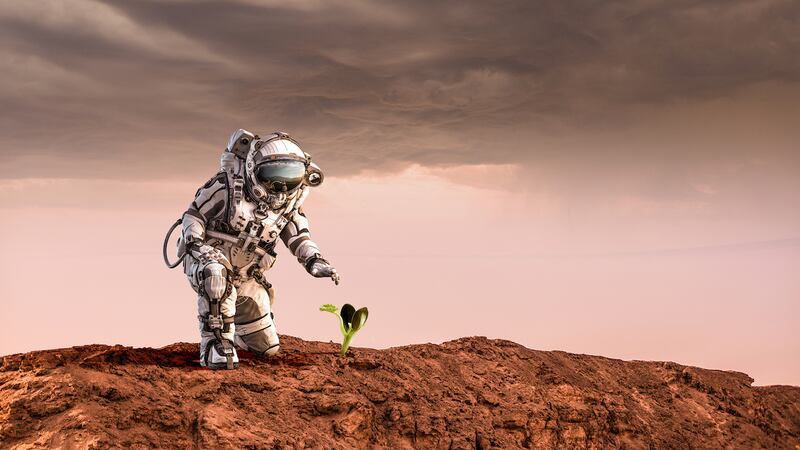NASA: Estos son los retos que tendrán que superar los voluntarios de la misión tripulada simulada a Marte