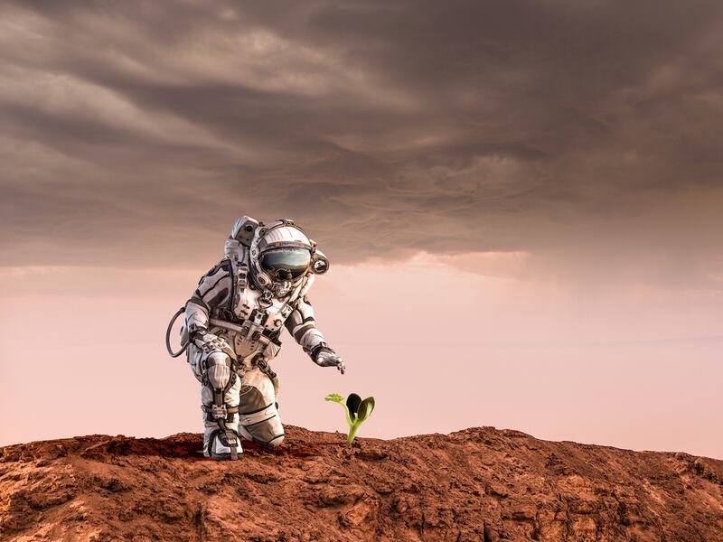 NASA: Estos son los retos que tendrán que superar los voluntarios de la misión tripulada simulada a Marte