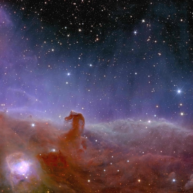 Euclid’s view of the Horsehead Nebula. Fuente: ESA