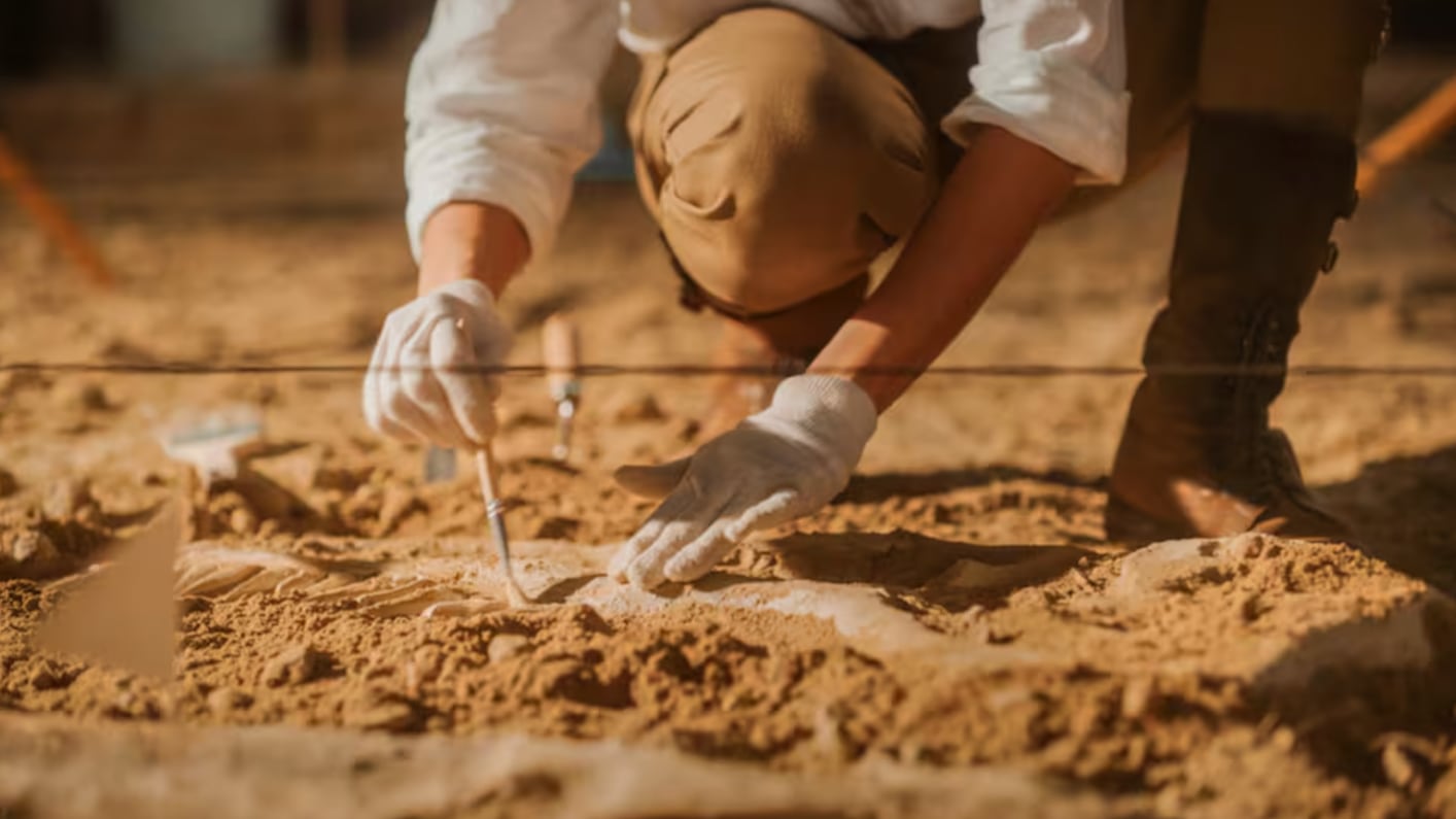 Arqueología - Archivo
