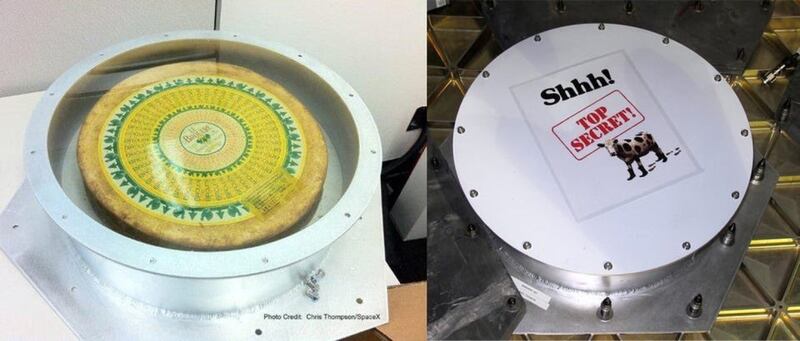 Enviada por Elon Musk al espacio