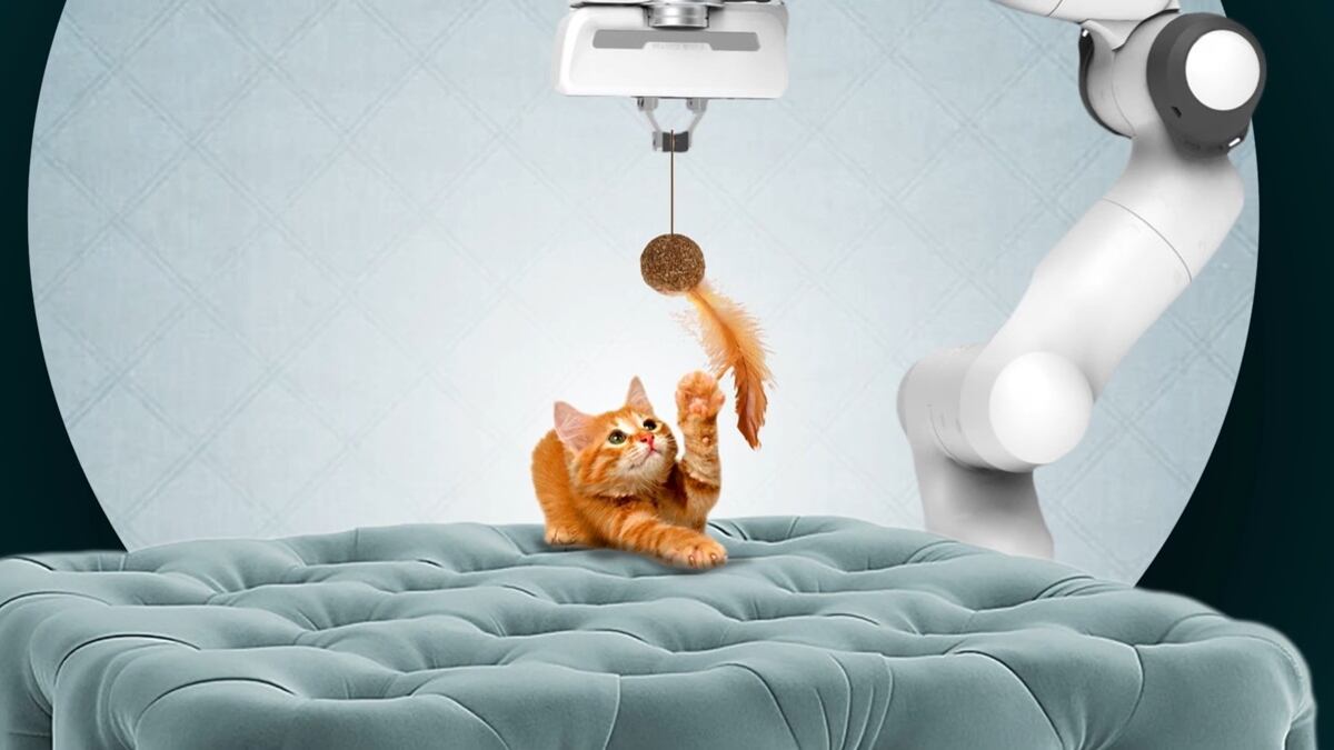 Cat Royale de Bast Theory