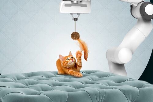 Así es el nuevo robot con inteligencia artificial desarrollado para cuidar y jugar con gatos