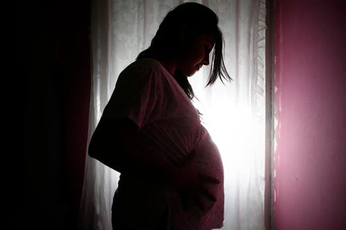 La ciencia de las emociones: especialista explica la fuerza del vínculo maternal desde la neurociencia, la biología y más