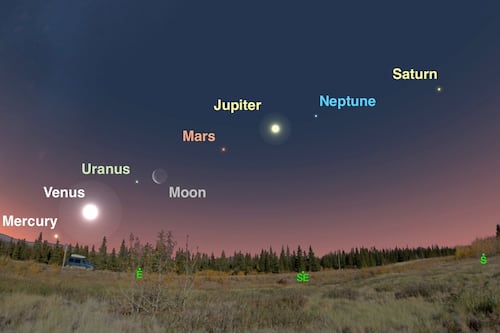 Alineación de siete planetas de este viernes 28 de febrero: ¿A qué hora inicia el espectáculo y cómo verlo?