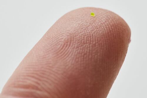 Este bolso microscópico lleva la tendencia de los mini bolsos al siguiente nivel