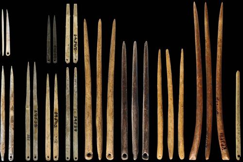 Científicos descubren la clave del uso de ropa hace 40 mil años: la creación de la aguja para hilo