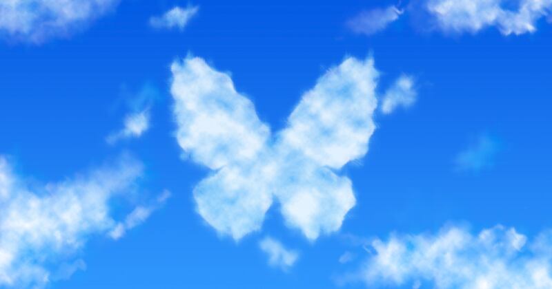 Se acabaron las listas de espera y enlaces de invitación: Bluesky ahora está disponible para cualquier usuario que quiera probarlo. A Elon Musk no le gusta esto.