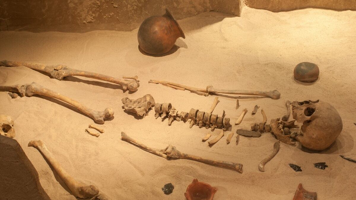 Esqueleto - Imagen referencial (crédito INAH)