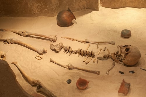 Un equipo de arqueólogos en China logra desprender el ADN de un esqueleto humano de 6.000 años de antigüedad