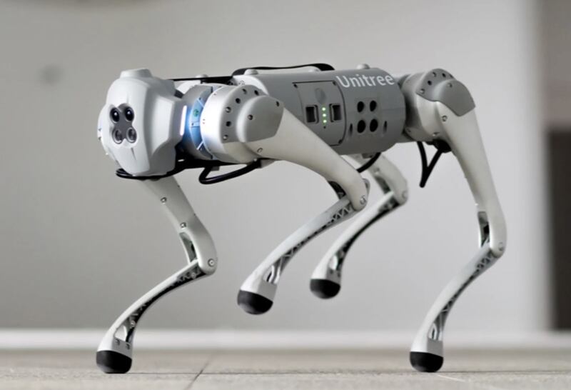 Go1 de Unitree