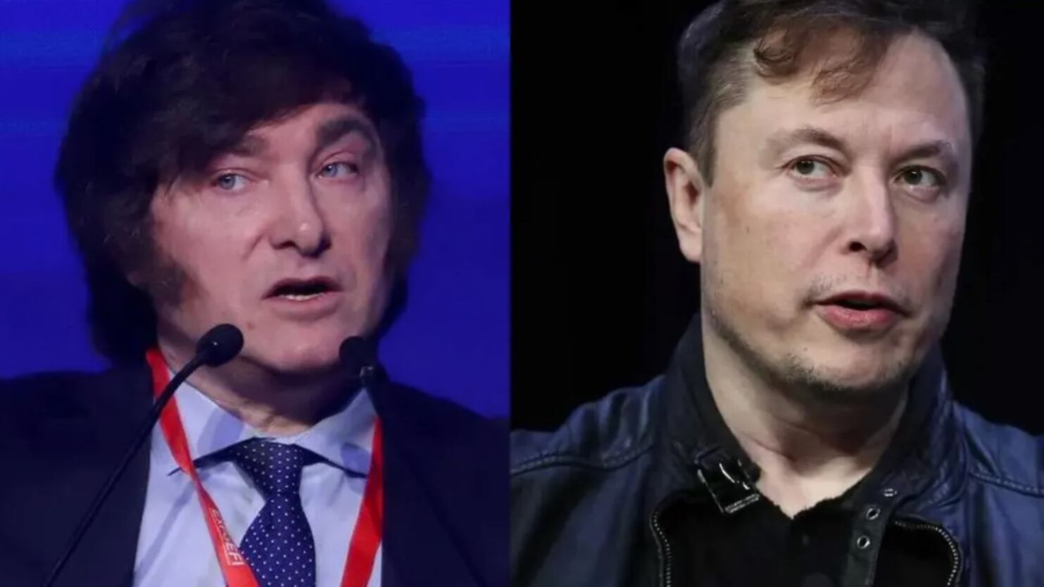 Javier Milei / Elon Musk