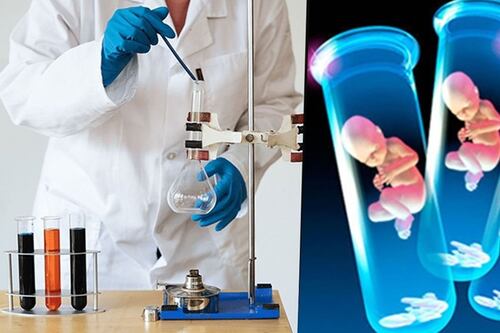 La ciencia se prepara para ofrecer un “menú de bebés”: ¿Qué tan cerca estamos de clonar humanos?