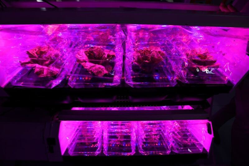 Alimentos en el espacio