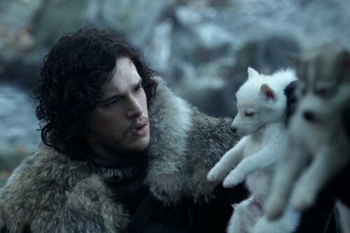 Científicos norteamericanos clonan una especie de lobos como los de Game of Thrones