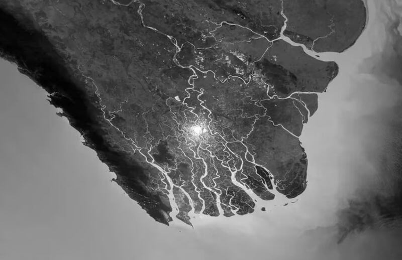 Manglares de la costa de India