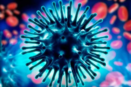 Levitación magnética es capaz de separar y clasificar los virus del aire