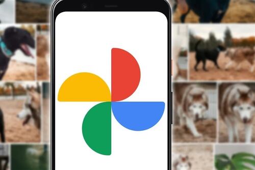 Google Fotos renovó su cara: Estas son las novedades de su interfaz
