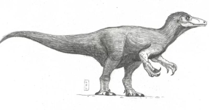 Megarraptor