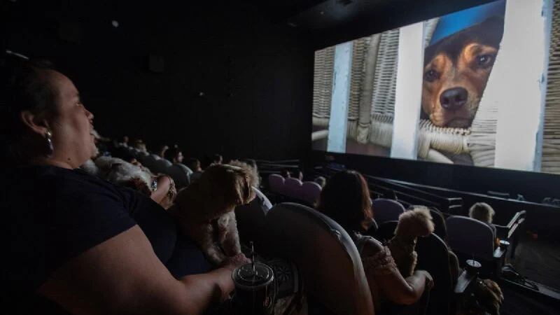 Ser latino en Estados Unidos e ir al cine y comprender las películas ya es posible.