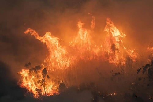 Australia evacua más ciudades cercanas a los incendios forestales que la afectan