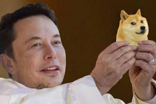 Elon Musk declaró a Dogecoin como la moneda oficial de Marte: la boba verdad detrás de esa historia
