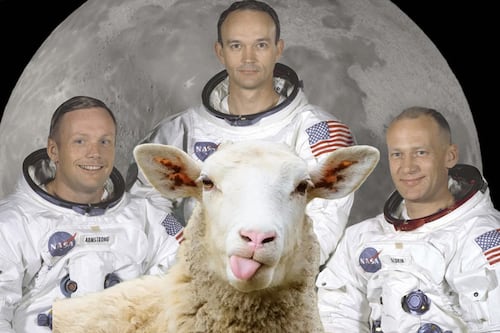 Apollo 11: ¿la primera misión de la NASA que llegó a la Luna realmente viajó con “ovejas” de Colombia?