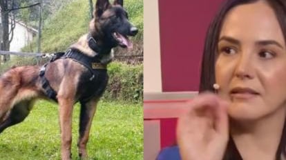 Mia Vanegas, la colombiana que afirma ‘hablar con animales’ y opinó sobre el perro Wilson