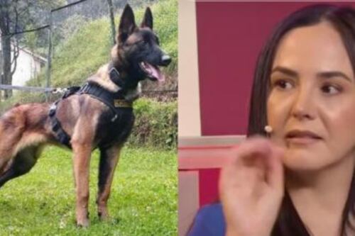 ¿Quién es la colombiana que afirma ‘hablar con animales’ y opinó sobre el perro “Wilson”?
