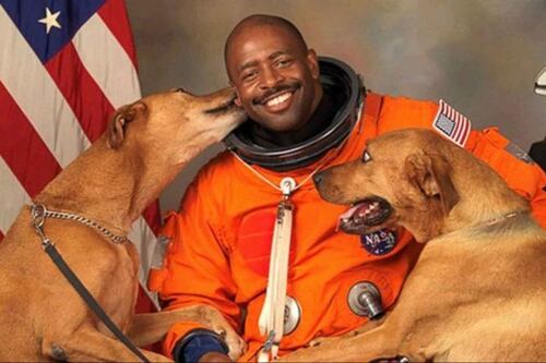 La historia detrás de la icónica y “prohibida” imagen de un astronauta de la NASA con sus dos perros