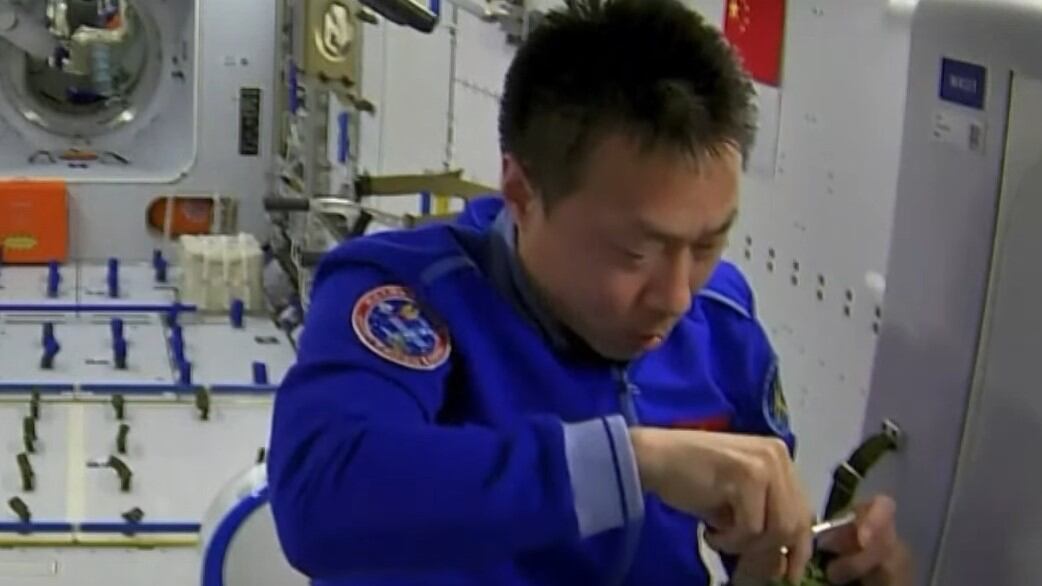 Astronauta manipulando una planta.