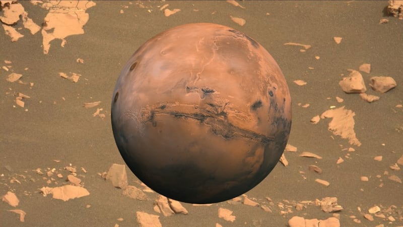 El rover Perseverance captó un "hongo" en Marte | Composición