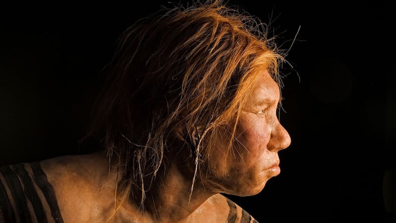 Rostro de un neandertal