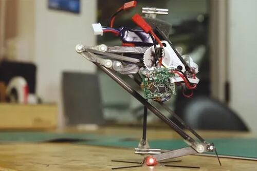 Salto: el robot monopodal que salta como una ardilla y revoluciona la exploración y el rescate