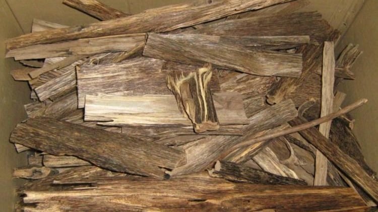 La madera de kynam también conocida como “kyara” en Japón.Kynam